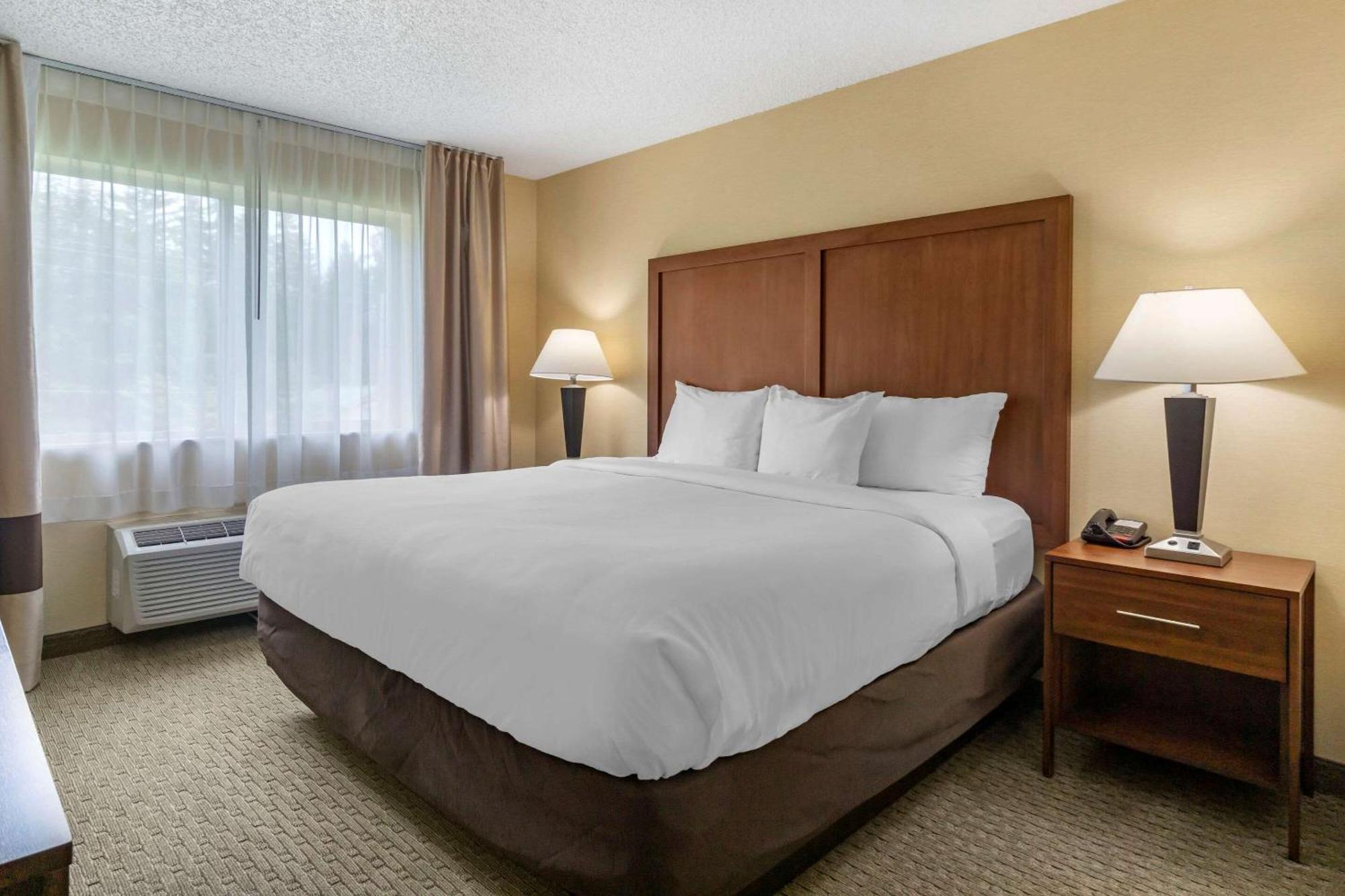 Comfort Inn & Suites Bothell - Seattle North Habitación foto
